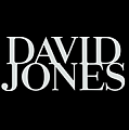 David Jones - женские сумки оптом от производителя