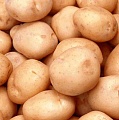 ООО "Дуэт" - оптовые поставки картофеля