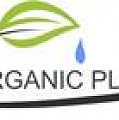 OrganicPlant - сахар-песок оптом напрямую с заводов производителей