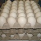 Яйца С0,С1,С2 с птицефабрики.22 руб/10шт