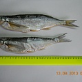 ИП Смолякова - Рыба вяленая оптом