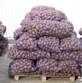 Оптторг Регион - качественный картофель оптом