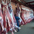 Мясопторг - оптовая продажа свинины и говядины