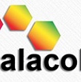 Галаколор - производство и продажа лакокрасочных материалов