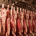ИП Окилов - Мясо говядина, баранина 1 категории