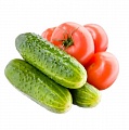ООО "Чистые овощи" - продажа овощей