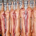Свинокомплекс "Кондопожский" - свинина оптом в полутушах от производителя