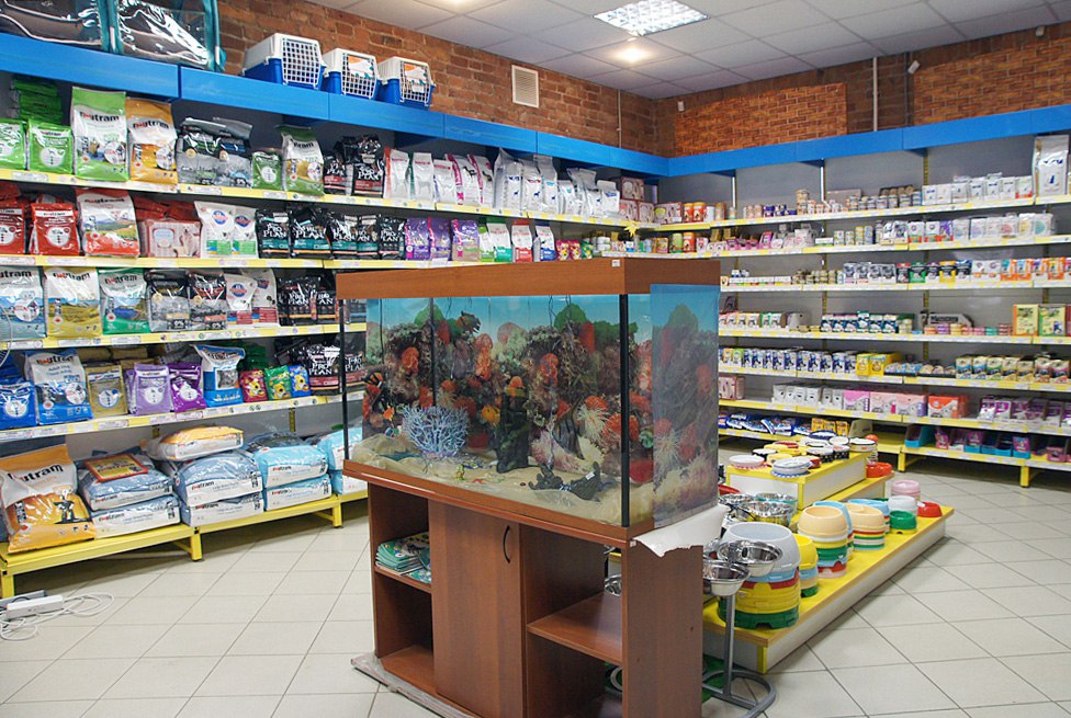 Магазин Золотая Рыбка Екатеринбург Каталог
