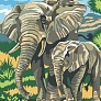 Картина 30х40 Слоненок с матерью