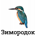 Зимородок - российский производитель рыболовных оснастков