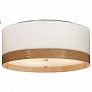 Tech Lighting Topo Flush Mount Ceiling Light 700FMTPOWMS, светильник