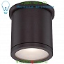 Tube Ceiling Light FM-W2605-BZ WAC Lighting, светильник