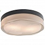 Tech Lighting Fluid Round Large Ceiling Light 700FMFLDRLC, светильник