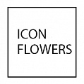 ICON FLOWERS - тюльпаны оптом